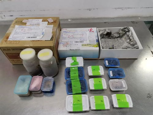 海關(guān)嚴(yán)查進境郵政快件，搖身一變的日用品驚現(xiàn)活體甲蟲