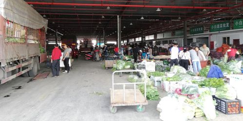 當好廣元人民的菜籃子，川陜甘農產品交易中心 從集散樞紐到研發引擎的蝶變