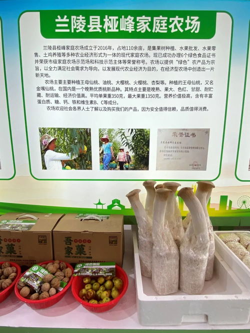 從新興到姑蘇 優質農產品研發與市場融合之路