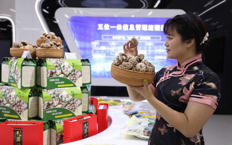 湖北鄖西 五大百億產業集群“頂起”工業經濟，食用農產品研發賦能鄉村振興